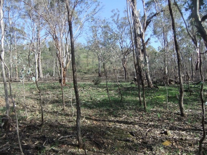 5 Moliagul drive, Moliagul VIC 3472