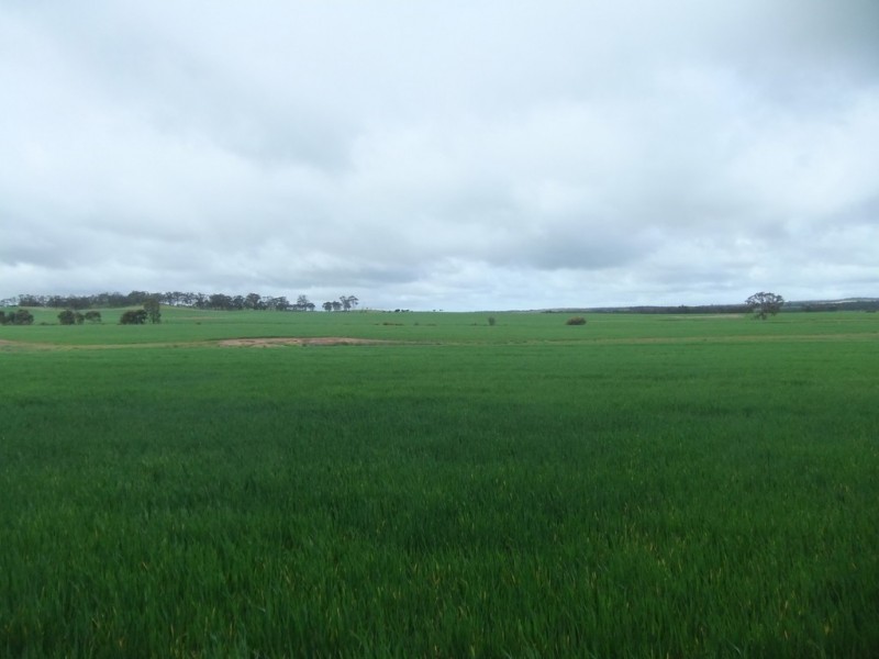 0 Richmond Plains Road, Wedderburn VIC 3518