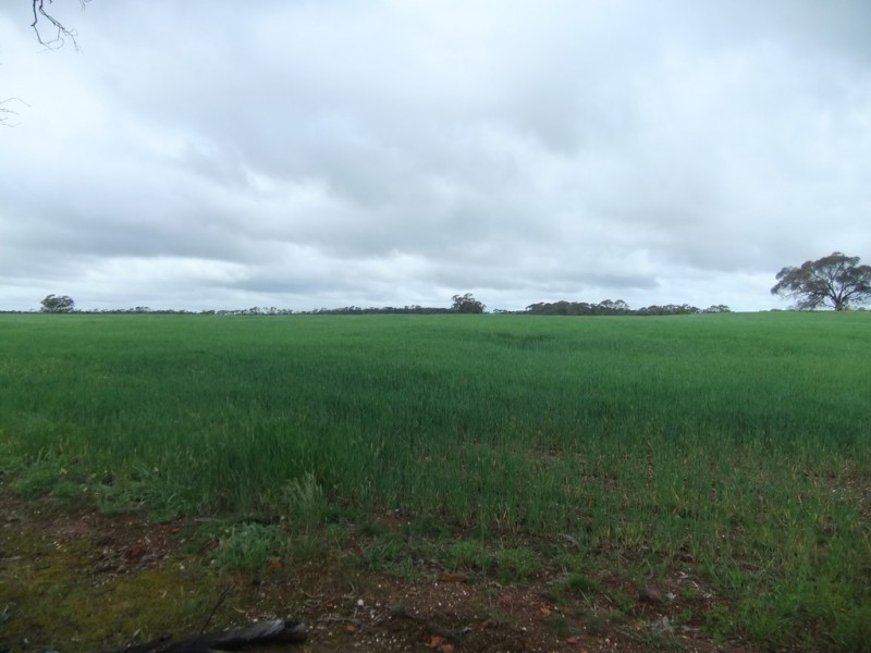 0 Richmond Plains Road, Wedderburn VIC 3518