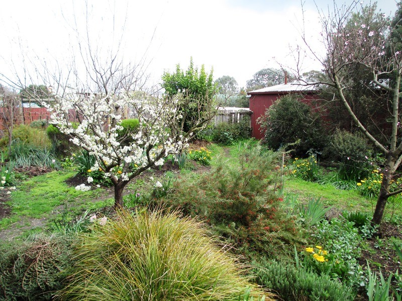 70 Bayley St, Alexandra VIC 3714