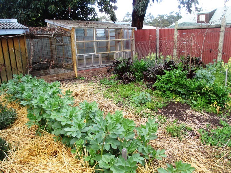 70 Bayley St, Alexandra VIC 3714