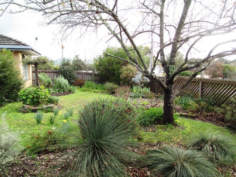 70 Bayley St, Alexandra VIC 3714