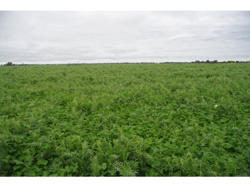 2889 Perricoota Road, Moama NSW 2731