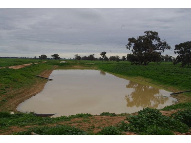 2889 Perricoota Road, Moama NSW 2731