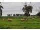 2889 Perricoota Road, Moama NSW 2731