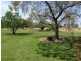 2889 Perricoota Road, Moama NSW 2731