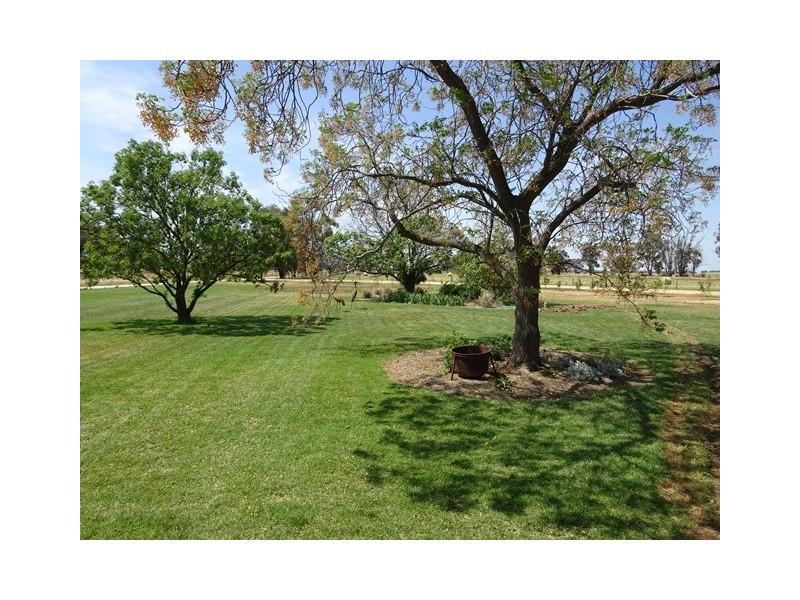 2889 Perricoota Road, Moama NSW 2731