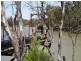 2889 Perricoota Road, Moama NSW 2731