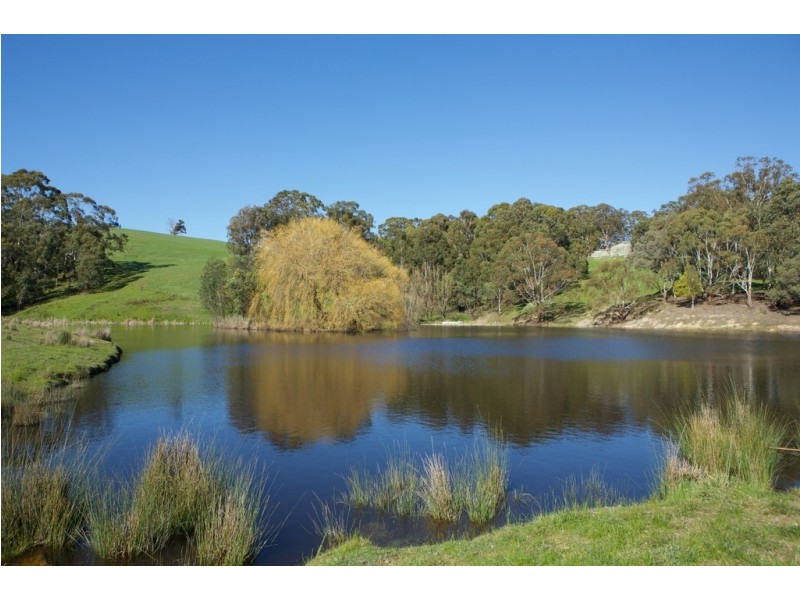 129 Yurittas Road, Caveat VIC 3660