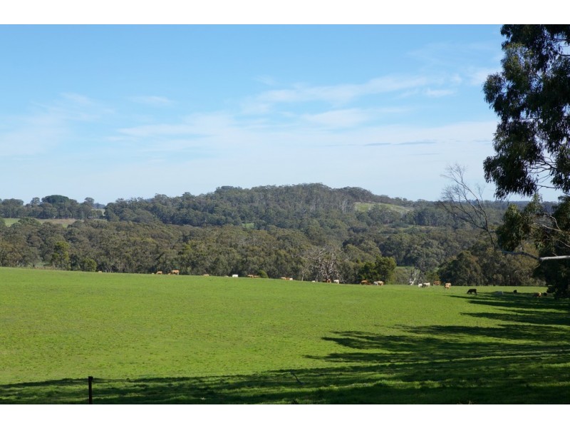 129 Yurittas Road, Caveat VIC 3660