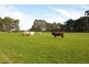 129 Yurittas Road, Caveat VIC 3660