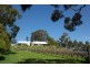 129 Yurittas Road, Caveat VIC 3660