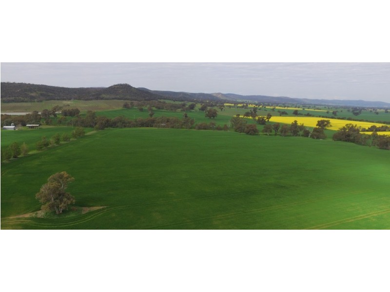 1586 Glenrowan Boweya Road, Taminick VIC 3675