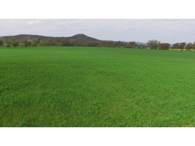 1586 Glenrowan Boweya Road, Taminick VIC 3675