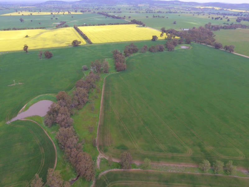 1586 Glenrowan Boweya Road, Taminick VIC 3675