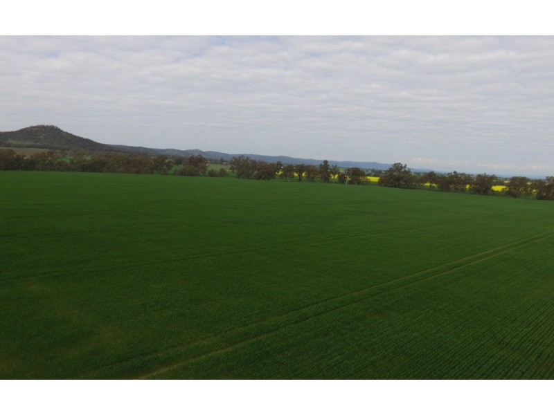 1586 Glenrowan Boweya Road, Taminick VIC 3675