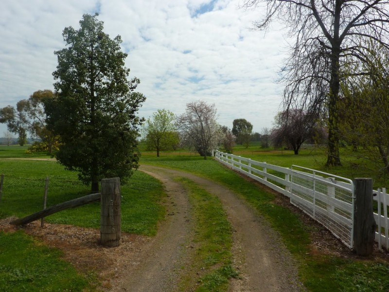 1586 Glenrowan Boweya Road, Taminick VIC 3675