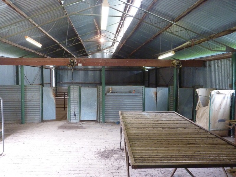 1586 Glenrowan Boweya Road, Taminick VIC 3675