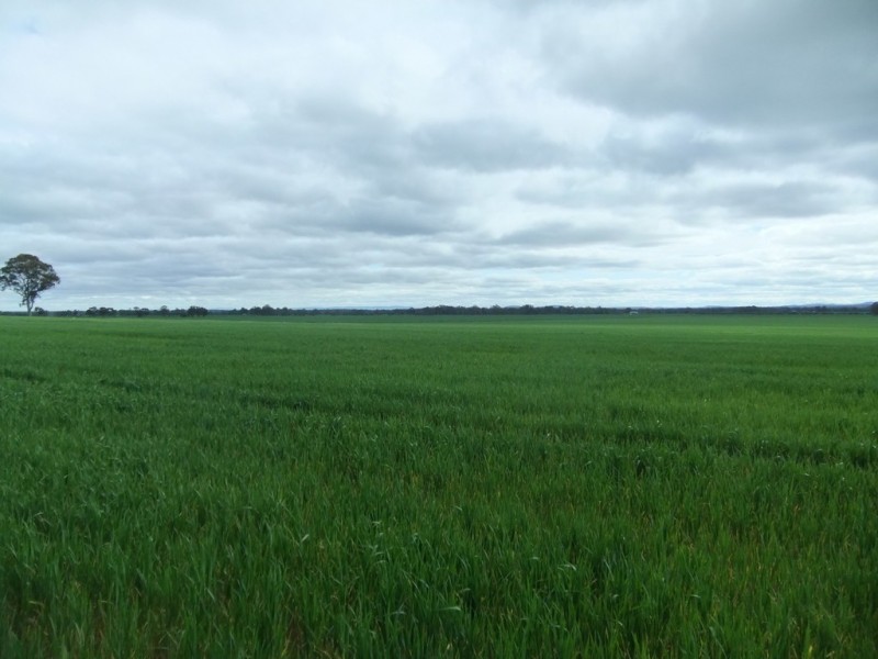 - Maldon Road, Eddington VIC 3472