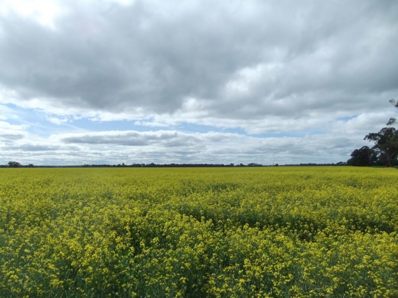 - Maldon Road, Eddington VIC 3472