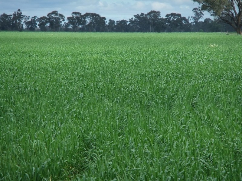 - Maldon Road, Eddington VIC 3472