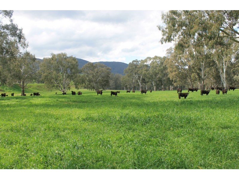 325 Switzerland Road, Ghin Ghin VIC 3717