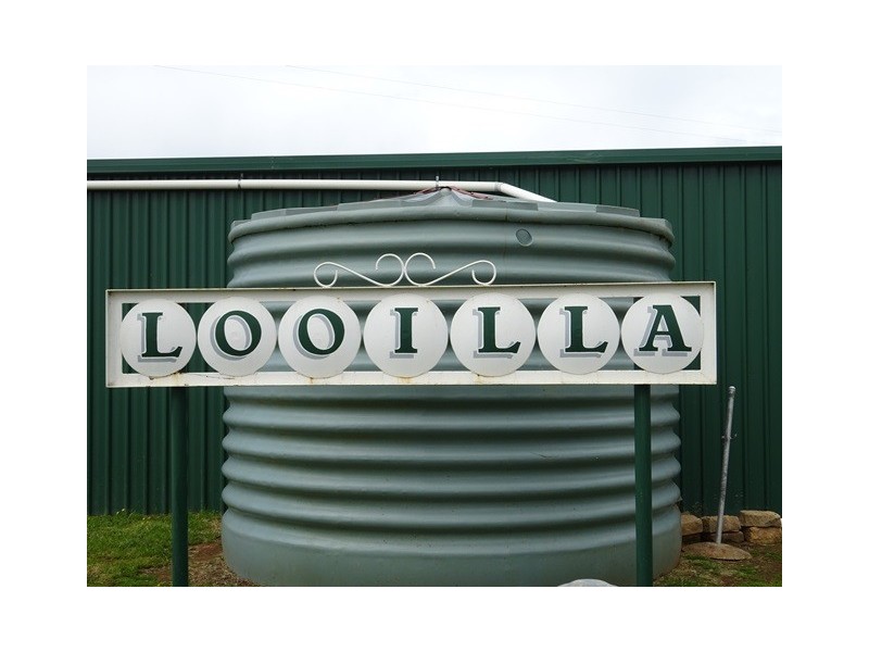 314 24 Lane, Moama NSW 2731