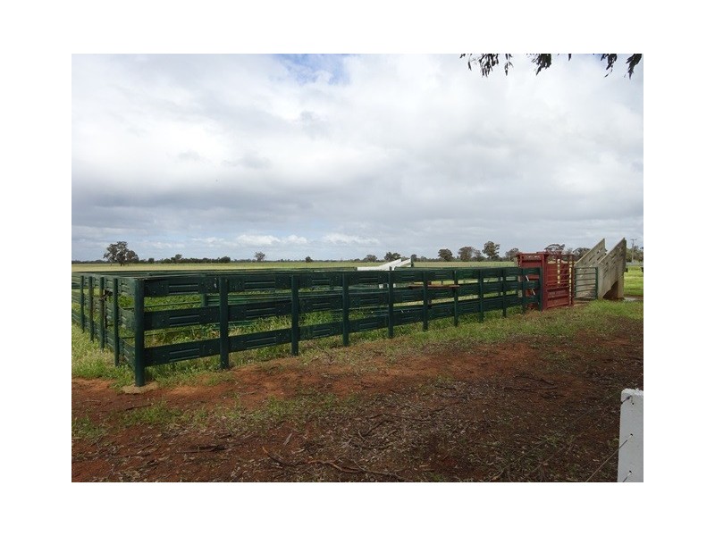 314 24 Lane, Moama NSW 2731