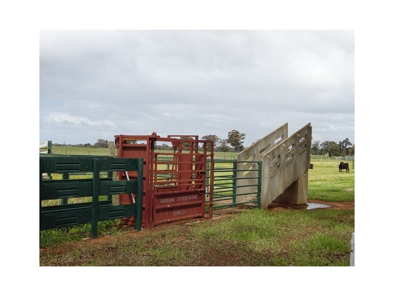 314 24 Lane, Moama NSW 2731