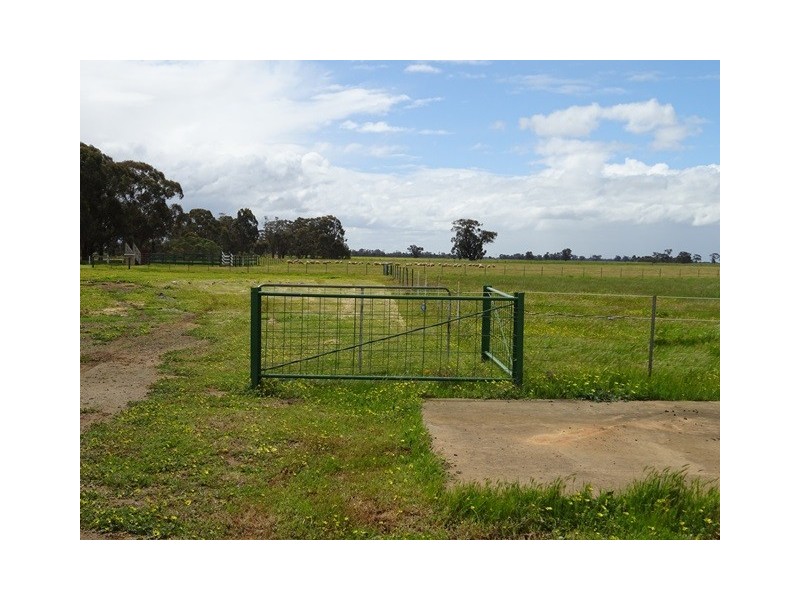 314 24 Lane, Moama NSW 2731