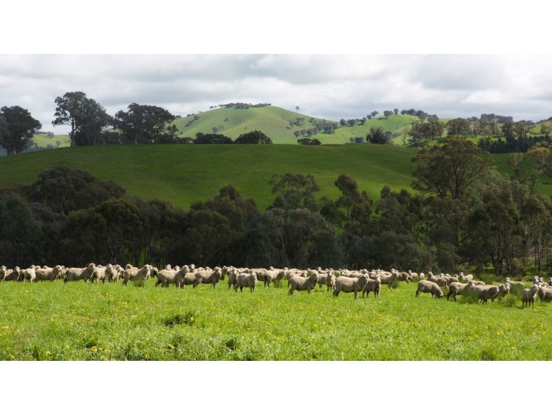 935 Highlands Road, Whiteheads Creek VIC 3660