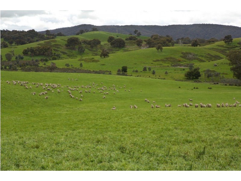 935 Highlands Road, Whiteheads Creek VIC 3660