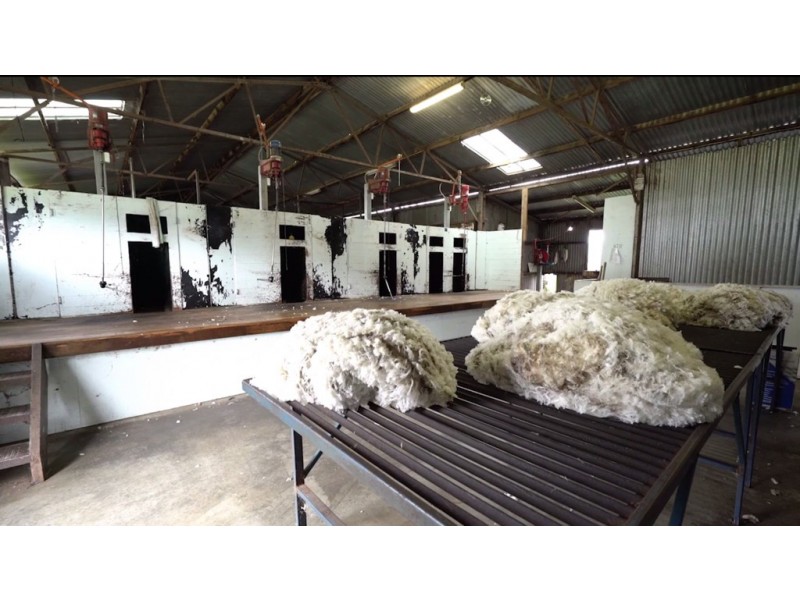 935 Highlands Road, Whiteheads Creek VIC 3660