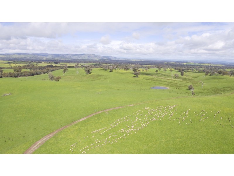 935 Highlands Road, Whiteheads Creek VIC 3660