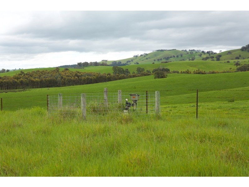 935 Highlands Road, Whiteheads Creek VIC 3660
