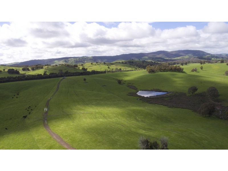 935 Highlands Road, Whiteheads Creek VIC 3660