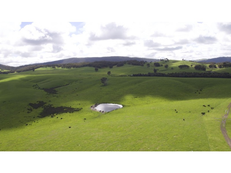 935 Highlands Road, Whiteheads Creek VIC 3660