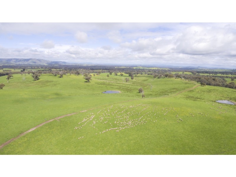 935 Highlands Road, Whiteheads Creek VIC 3660