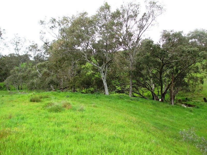122 Parsons Road, Alexandra VIC 3714