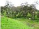 122 Parsons Road, Alexandra VIC 3714