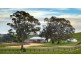355 Heathcote – Spring Plains Road, Heathcote VIC 3523