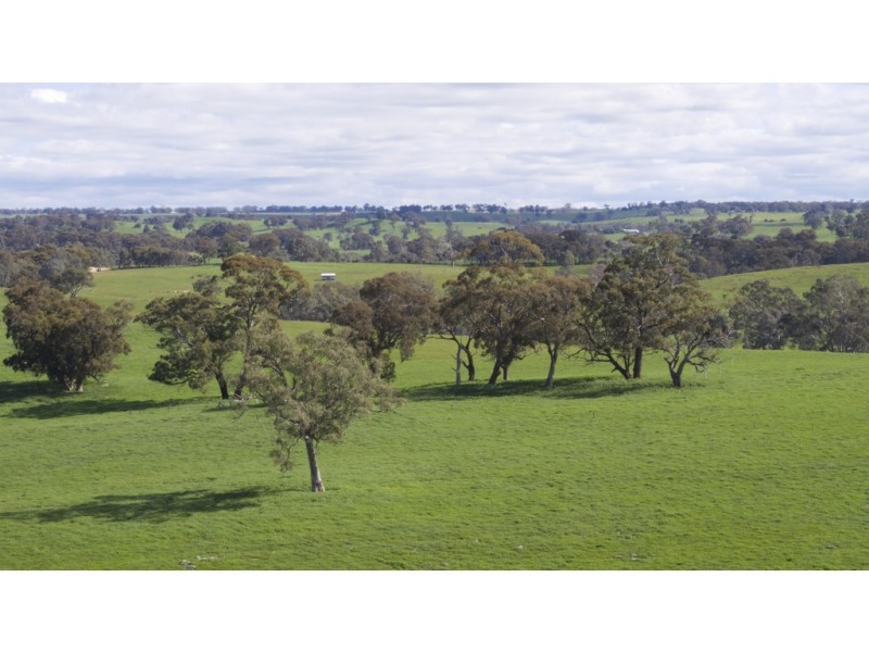 355 Heathcote – Spring Plains Road, Heathcote VIC 3523