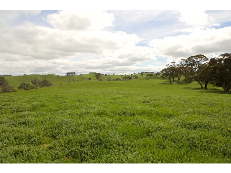 355 Heathcote – Spring Plains Road, Heathcote VIC 3523