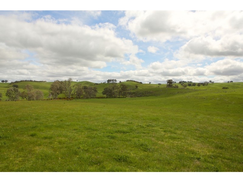 355 Heathcote – Spring Plains Road, Heathcote VIC 3523