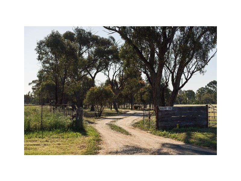 345 24 Lane, Moama NSW 2731