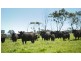 3330 Romsey Road, Chintin VIC 3756