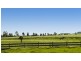 3330 Romsey Road, Chintin VIC 3756