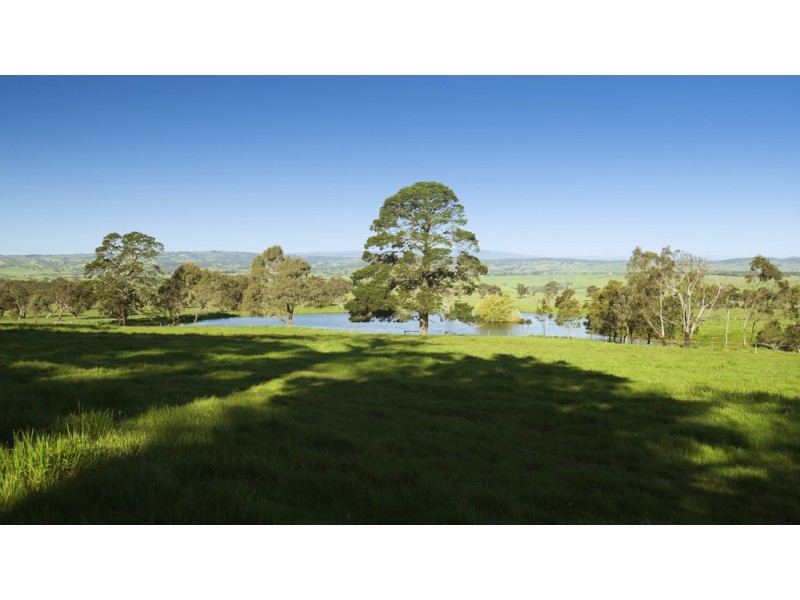 3330 Romsey Road, Chintin VIC 3756