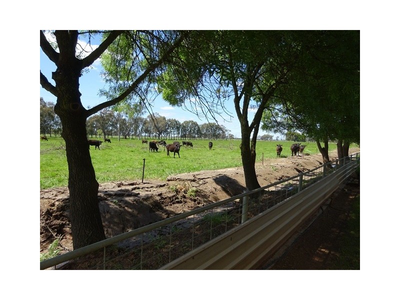 1797 Sinclair Road, Tongala VIC 3621