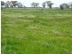 1797 Sinclair Road, Tongala VIC 3621